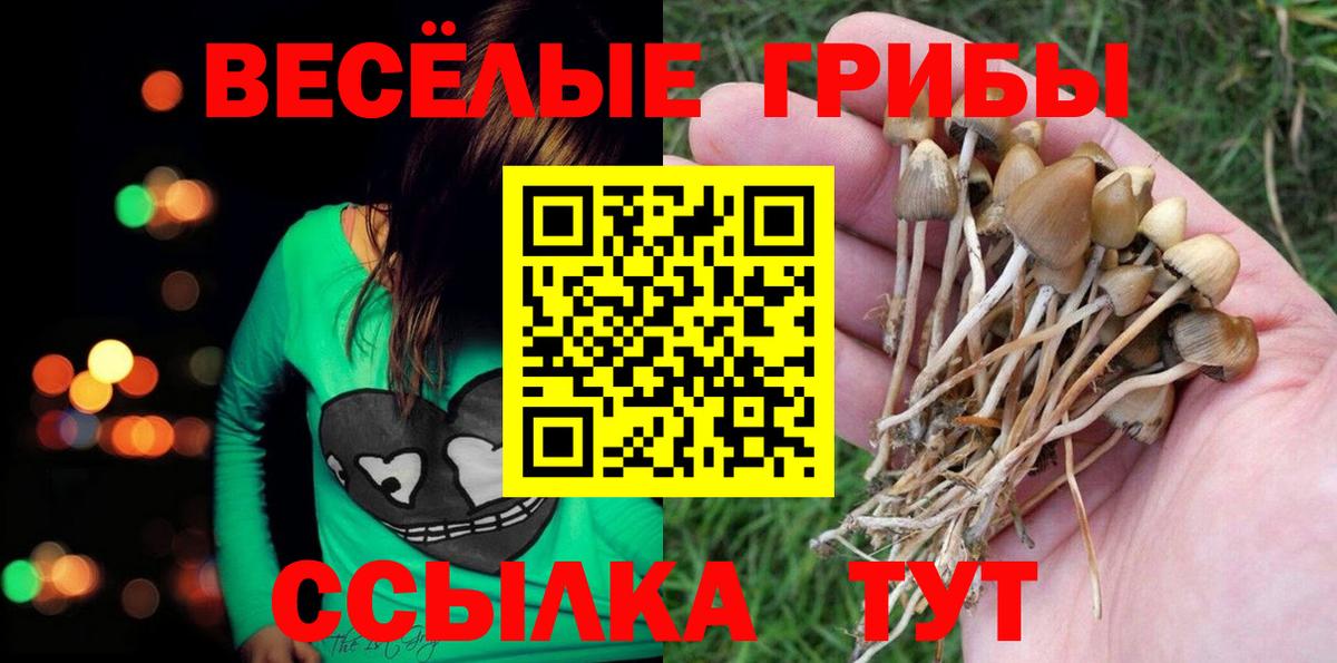 Нижний Тагил  Галлюциногенные грибы GOLDEN TEACHER  Вход с VPN 